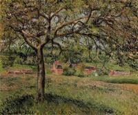 Pissarro, Camille - Apple Tree at Eragny